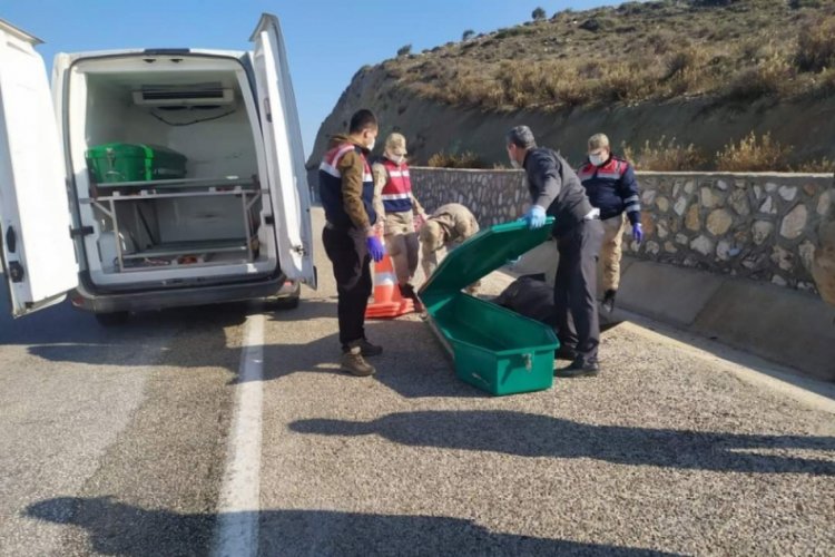 Yol kenarında ceset bulundu