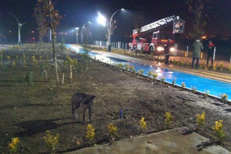 Nehre d&uuml;şen k&ouml;pek kurtarıldı