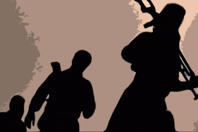 PKK'lı 2 ter&ouml;rist teslim oldu
