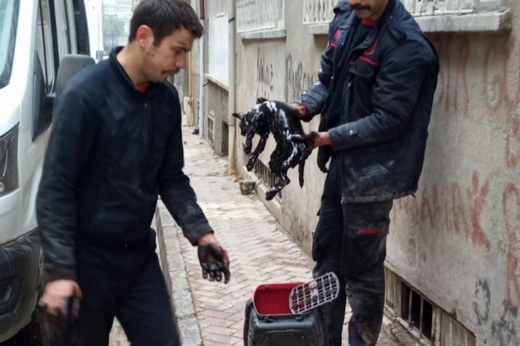 Akaryakıt tankına d&uuml;şen kedi, 2 saatte temizlendi