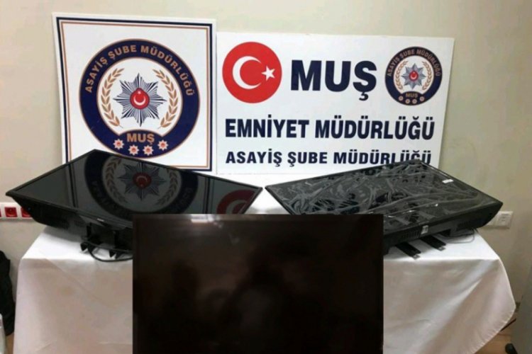 Muş'ta hırsızlık: 4 tutuklama