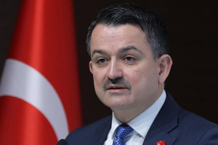 Bakan Pakdemirli a&ccedil;ıkladı! Gelecek hafta hesaplara yatırılıyor