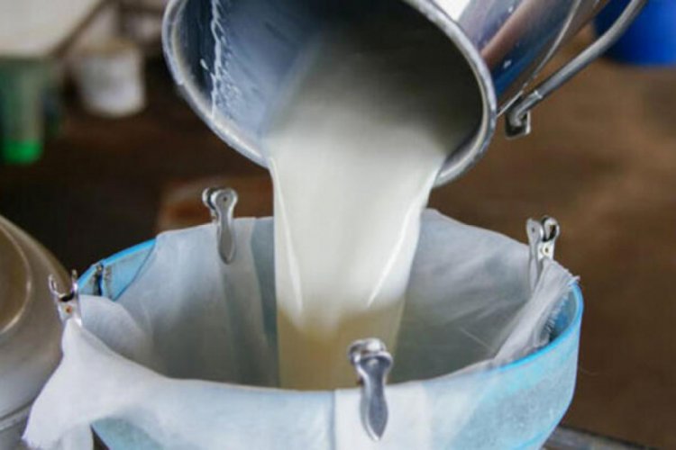 Soğutulmuş &ccedil;iğ s&uuml;t tavsiye fiyatı belli oldu