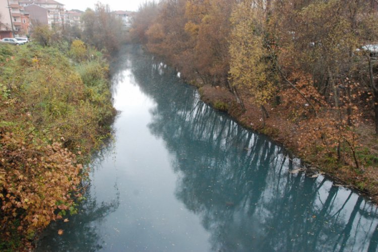 Bartın Irmağı maviye b&uuml;r&uuml;nd&uuml;, balıklar su y&uuml;zeyine &ccedil;ıktı