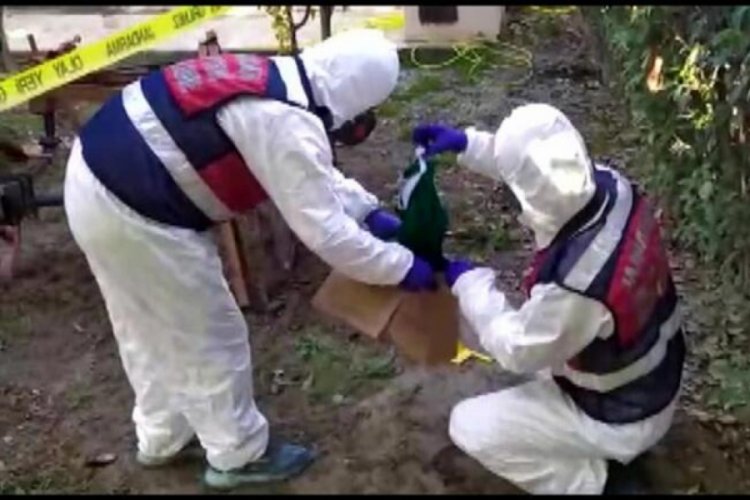 DNA &ouml;rnekleri b&uuml;t&uuml;n ger&ccedil;ekleri ortaya &ccedil;ıkardı