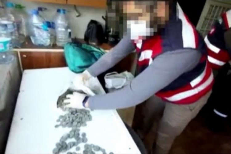 Tarihi sikkeleri satamadan jandarmaya yakalandı