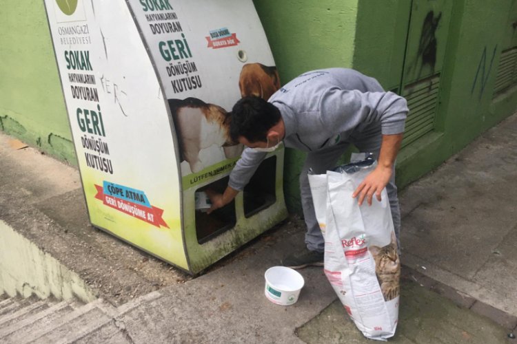 Bursa Osmangazi'de sahipsiz hayvanlara beslenme desteği