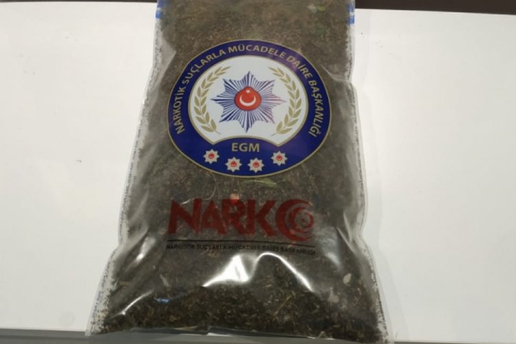 Boş arsada 1 kilo 800 gram bonzai ele ge&ccedil;irildi