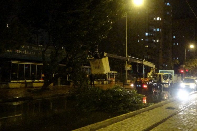 Şiddetli r&uuml;zgara dayanamayan ağa&ccedil; devrildi