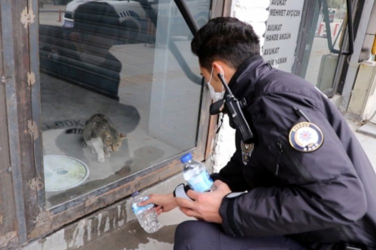 Kafede mahsur kalan kediye, polisin su içirme çabası