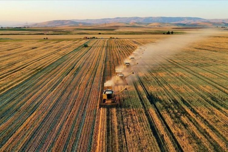 Tarım ÜFE kasımda yıllık yüzde 20,76 arttı