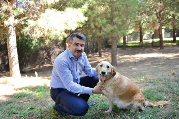 Bursa Yıldırım Belediye Başkanı Yılmaz: 'Sokak hayvanlarına sahip çıkıyoruz'