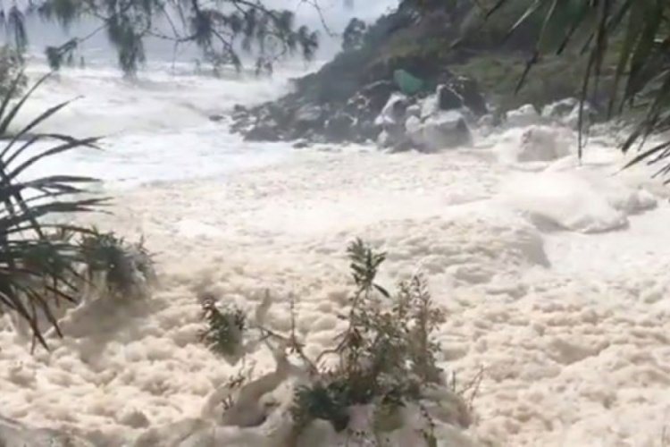 Avustralya sahilleri okyanus k&ouml;p&uuml;ğ&uuml;yle doldu