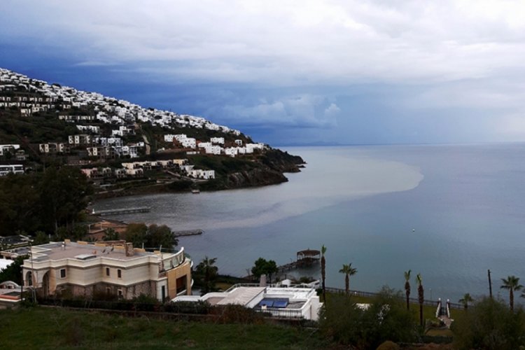 Bodrum'da denizin rengi kahverengiye d&ouml;n&uuml;şt&uuml;