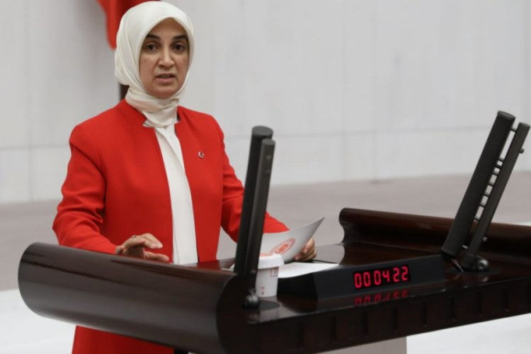 Bursa Milletvekili G&uuml;rel: "Dış politikamız gurur kaynağımızdır"