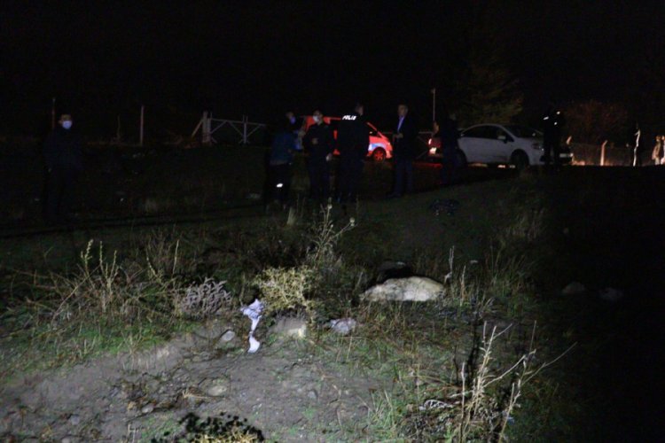 Başkent'te zehirlendikleri iddia edilen 6 k&ouml;pek &ouml;l&uuml;s&uuml; bulundu