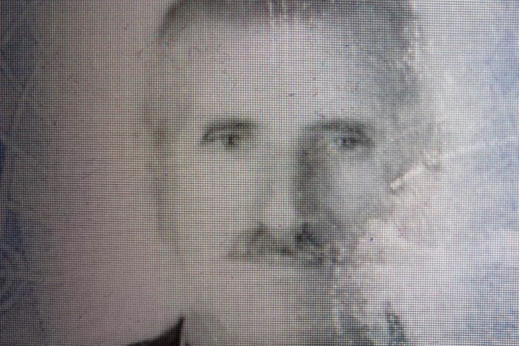 Kestiği ağacında altında kalarak can verdi