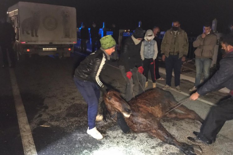 Saatlerce soğukta tedavi edilmeyi bekledi