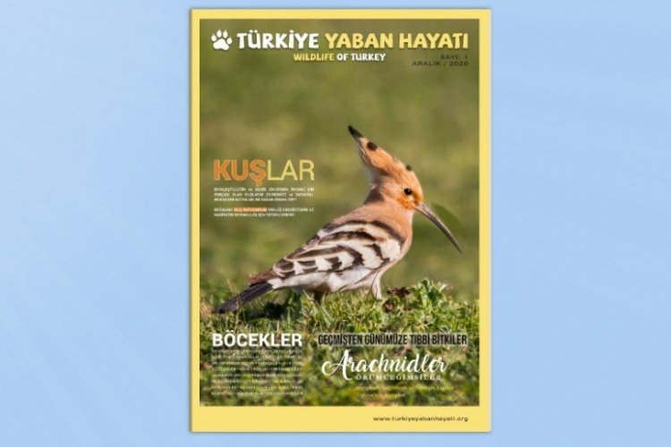 T&uuml;rkiye'nin yaban hayat dergisi &ccedil;ıktı
