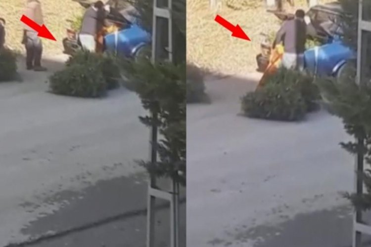 Yılbaşı i&ccedil;in ka&ccedil;ak &ccedil;am ağacı kesenlere su&ccedil;&uuml;st&uuml;