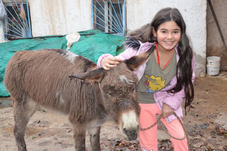 İşkence g&ouml;re eşek, 10 yaşındaki Ecrin'e emanet