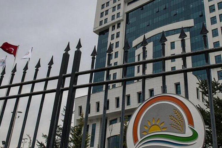T&uuml;rkiye'nin geleneksel habitat bilgisi kayıt altına alınıyor