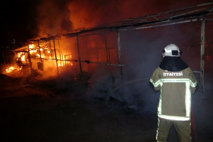 Bursa'da at &ccedil;iftliğinde yangın: 10 hayvan telef oldu
