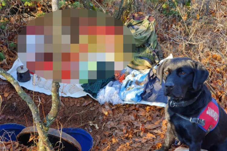 Bing&ouml;l'de PKK'ya ait m&uuml;himmat ele ge&ccedil;irildi