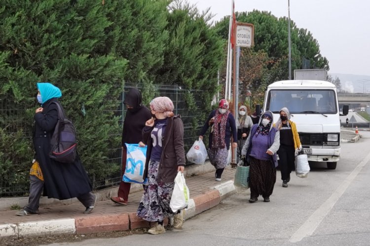 Bursa korsan servis aracı trafikten menedildi, mevsimlik iş&ccedil;iler y&uuml;r&uuml;yerek gitti