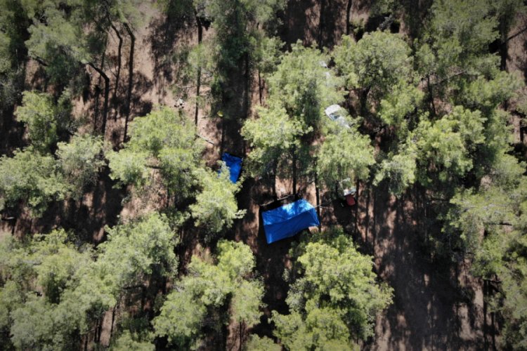 Bursa'da 65 yıllık hayatının tamamını ormanda &ccedil;adırda yaşayarak ge&ccedil;irdi