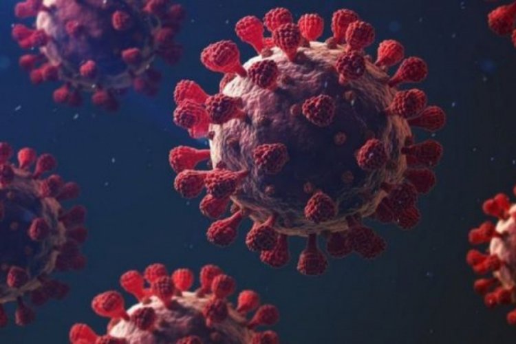 Bilim Kurulu &uuml;yesi, koronavir&uuml;s&uuml;n yeni mutasyonuna karşı uyardı