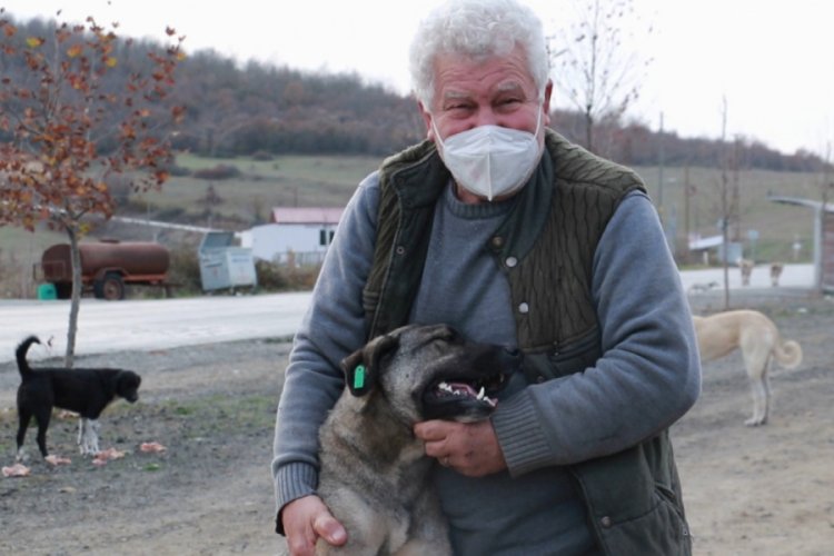Kendini sokak hayvanlarına adadı, 71 yaşında veterinerlik okudu