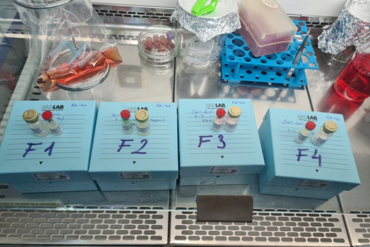 Bursa Uludağ &Uuml;niversitesi'nden bir yerli aşı projesi daha
