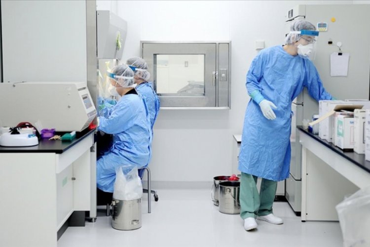 Japonya'dan mutasyon a&ccedil;ıklaması: &Uuml;lkemizde rastlanmadı