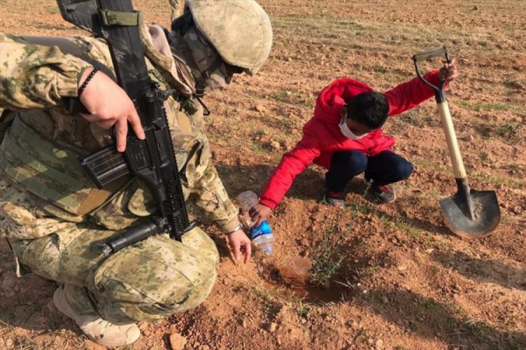 Barış Pınarı b&ouml;lgesine şehitlerin anısına 450 zeytin fidanı dikildi