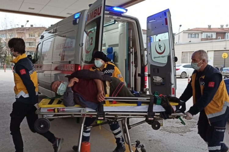 Bursa'da kestiği ağacın altında kalarak yaralandı