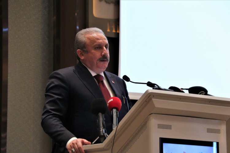 Mustafa Şentop: "T&uuml;rk&ccedil;e olmasaydı tarihteki varlığımızdan s&ouml;z edemeyecektik"