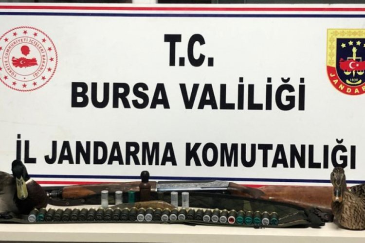 Bursa'da ka&ccedil;ak avcılar, jandarma ekiplerine yakalandı