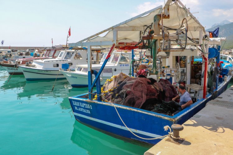 FAO uyardı: Akdeniz ve Karadeniz'deki avcılığın 230 bin tonu ıskarta