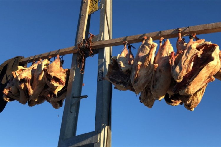 Kars'ta kesilen kazlar kurutuluyor