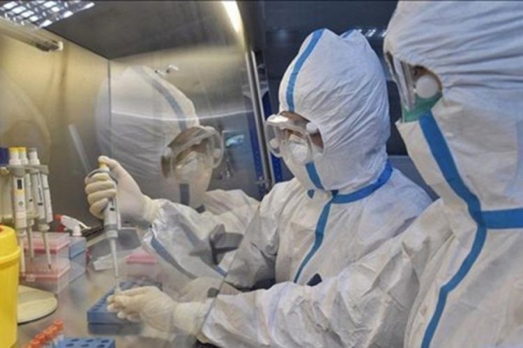 Corona virüsün ortaya çıktığı iddia edilen laboratuvar: Ziyarete açığız
