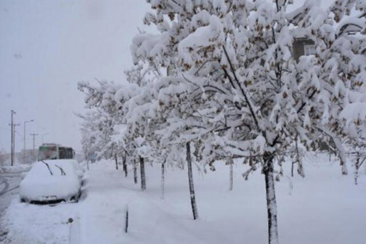 Bitlis'te 224 köy yolu kardan kapandı