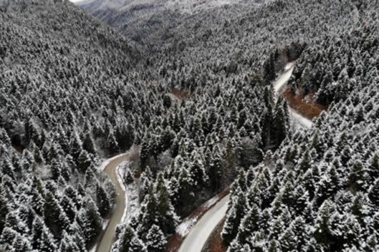 Yedigöller Milli Parkı yolu, kar ve buzlanma nedeniyle ulaşıma kapatıldı