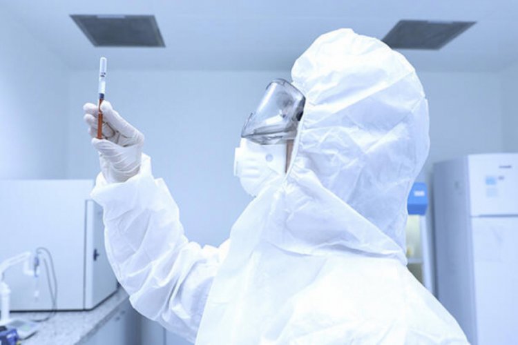 Fransa'da, bir kişide mutasyona uğramış koronavirüs görüldü