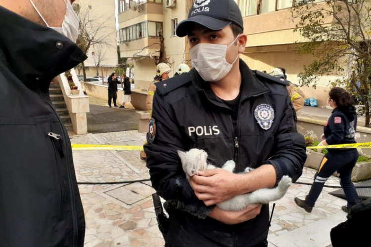 Yangında mahsur kalan yavru kediyi polis memuru kurtardı