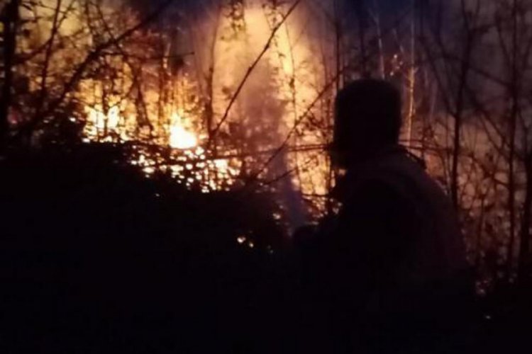 Sakarya'daki yangının bilançosu: 10 dönüm alan kül oldu