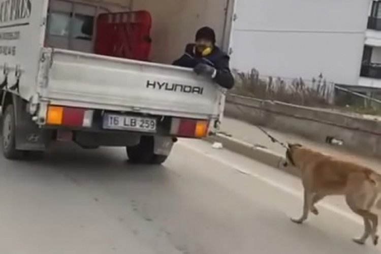 Bursa'da köpeği kamyonetin arkasında sürükleyen vicdansız sürücüye bin 211 lira ceza