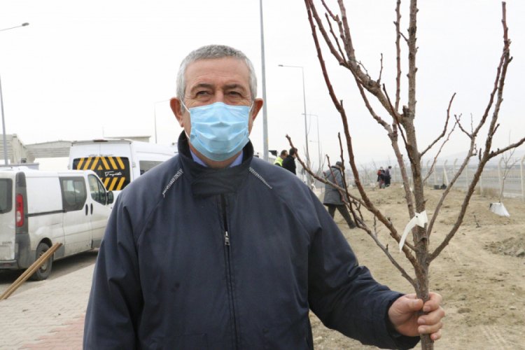 Ankara'ya koronavirüsten ölen sağlık çalışanları anısına şifa ormanı