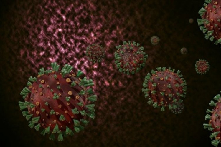Mutasyon virüste, kanda daha çok virüs bulunduğu ortaya çıktı