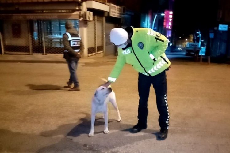 Polisin köpeğe şefkati yürekleri ısıttı